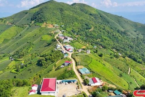 Kim Bon ngày mới