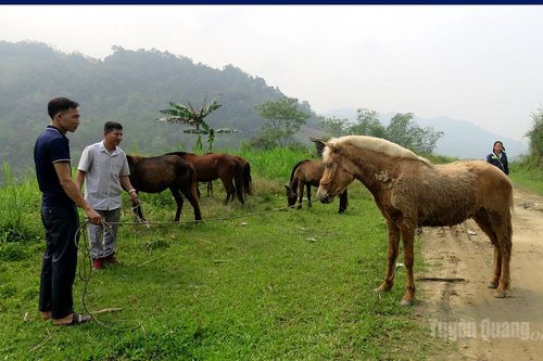 Tạo đà phát triển kinh tế ở Quảng Nguyên