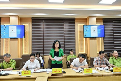 Đoàn công tác của Cơ quan Hợp tác quốc tế Nhật Bản (JICA) làm việc với tỉnh