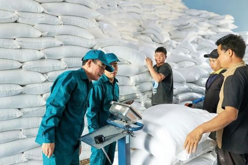 Xây dựng hệ thống kho dự trữ quốc gia đồng bộ, hiện đại