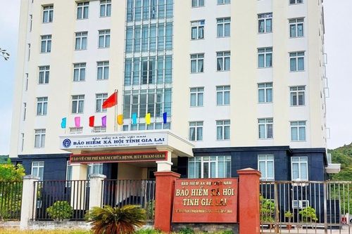 Gia Lai: Hơn 690 đơn vị nợ bảo hiểm với số tiền hơn 133 tỷ đồng