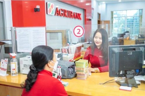 Agribank vượt mốc 100 tỷ USD tài sản, chuẩn bị cổ phần hóa