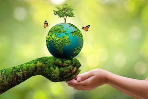 Ngày Trái Đất 2026: Thúc đẩy đổi mới và giải quyết các vấn đề môi trường