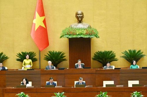Cải cách 'trong tầm tay', không thể chậm trễ