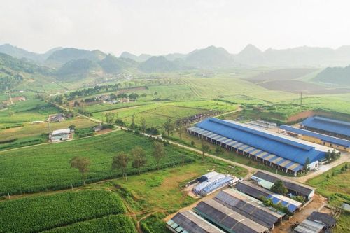 Mộc Châu Milk lãi cao nhất 9 quý vẫn 'chùn tay' đặt kế hoạch