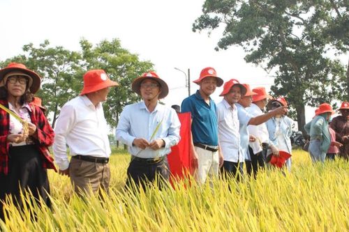 Đổi mới HTX - động lực phát triển kinh tế nông nghiệp bền vững