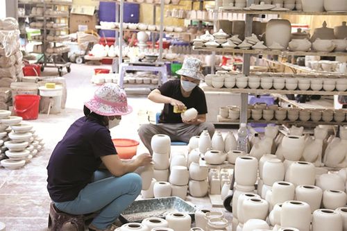 Từ hợp tác mùa vụ đến chiến lược dài hạn cho hợp tác xã