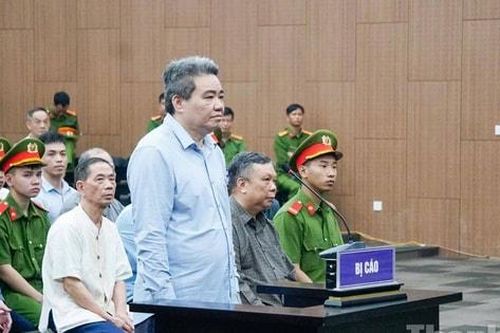 Giám đốc Công ty Hoàng Dân kháng cáo, xin giảm án