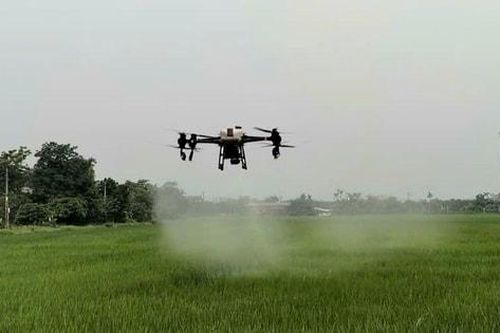 Hợp tác xã sản xuất, kinh doanh nông nghiệp Đoàn Kết: Ứng dụng công nghệ hiện đại trong sản xuất nông nghiệp