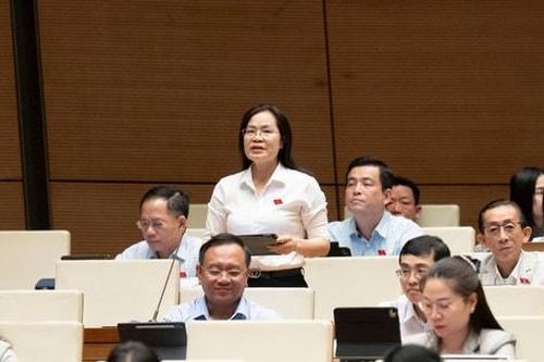 Chú trọng cơ chế đãi ngộ gắn với hiệu quả công việc của luật sư công