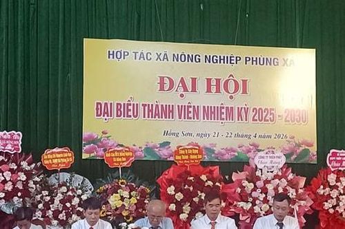 Hợp tác xã Phùng Xá hướng tới nông nghiệp công nghệ cao, hữu cơ