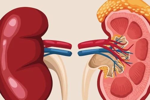 Từng giành giật sự sống vì suy thận, phải chạy thận và ghép thận, người phụ nữ quyết giữ người thân không đi vào 'vết xe đổ'