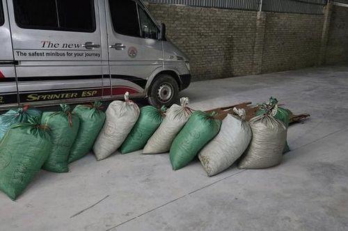 Buôn bán gần 900kg vảy tê tê cực kỳ quý hiếm, lĩnh án 8 năm tù