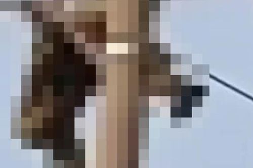 Nam sinh lớp 8 tử vong trên cột điện trung thế