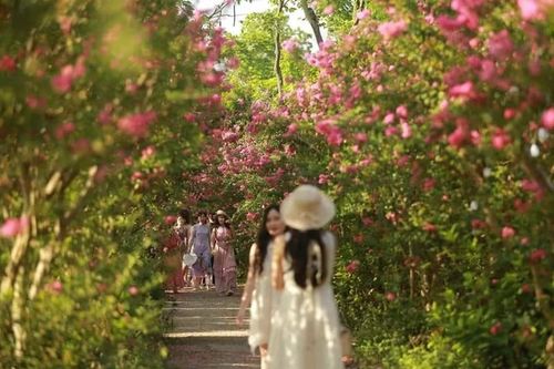 Khám phá loạt điểm đến xanh mới lạ tại Thủ đô
