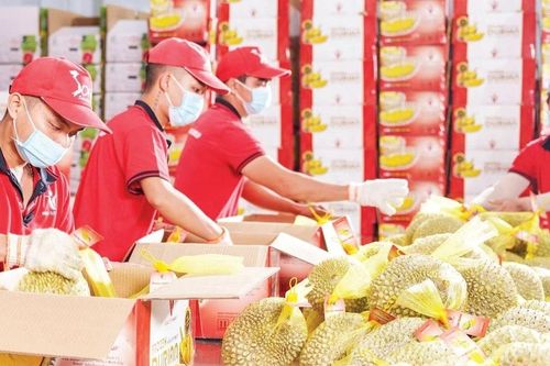 Bài 2: Kiến tạo nền tảng dữ liệu số
