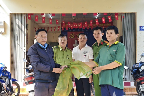 Tiếp nhận một cá thể động vật hoang dã do người dân địa phương tự nguyện bàn giao
