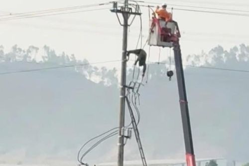 Thiếu niên chết trên cột điện