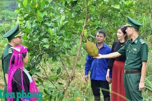 Lặng thầm nơi tuyến đầu, tỏa sáng nghĩa tình người lính
