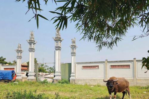 Thiếu vốn, xót xa nhìn dự án đền Xứ Tổ sư ca trù dở dang