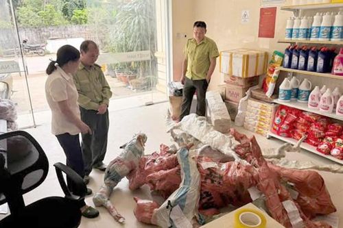 Phát hiện 15 phôi cây Muội hồng không rõ nguồn gốc đang chờ gửi qua đường bưu điện