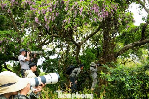 Những tay máy 'săn' khoảnh khắc rực rỡ nhất năm trên bán đảo Sơn Trà
