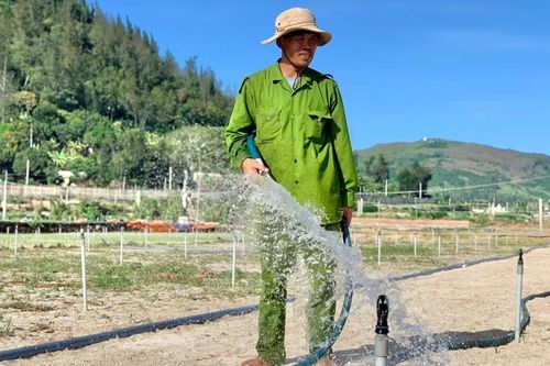 Nắng nóng bủa vây, Lý Sơn chắt chiu từng giọt nước