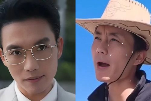 Nhiều tổng tài về quê làm nông