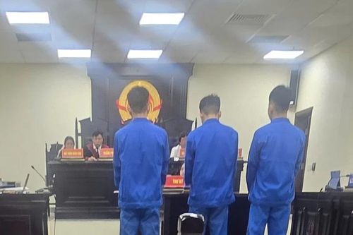 3 'yêu râu xanh' lĩnh 59 năm tù vì hiếp dâm thiếu nữ say rượu
