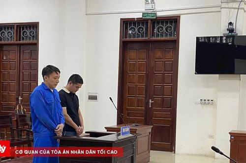 Lĩnh án 16 năm tù vì buôn bán gần 1 tấn vảy tê tê Châu Phi