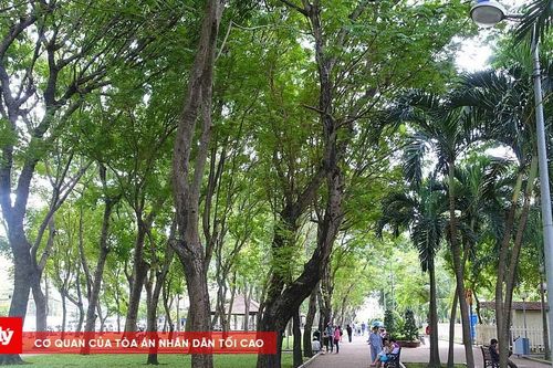TP.HCM đề xuất xây thêm bãi đỗ xe công cộng
