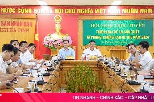 Triển khai sản xuất vụ hè thu đảm bảo an toàn, hiệu quả