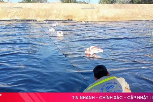 Giải pháp chống thấm tối ưu cho ao nuôi thủy sản: Tại sao nên ưu tiên bạt HDPE chất lượng cao?