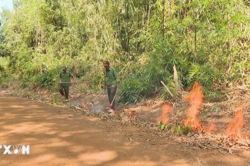 'Căng mình' phòng chống cháy rừng cao điểm mùa khô