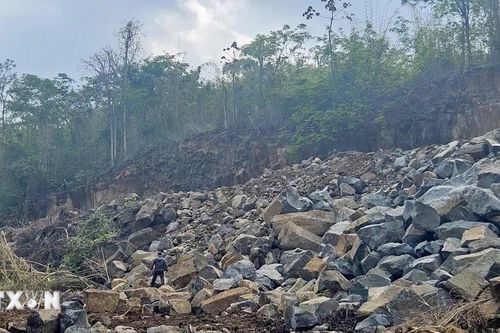 Lâm Đồng: Kiên quyết xử lý 'khoáng sản tặc,' thu giữ hàng trăm cây đá bazan