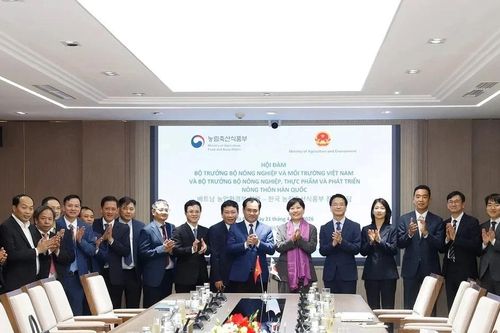 Việt Nam và Hàn Quốc mở cửa thị trường thịt gà chế biến