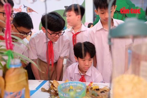 Bồi đắp tình yêu thiên nhiên từ những buổi học trải nghiệm