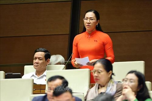 Kiến nghị phân loại kết quả trả lời kiến nghị của cử tri theo hướng cụ thể hơn