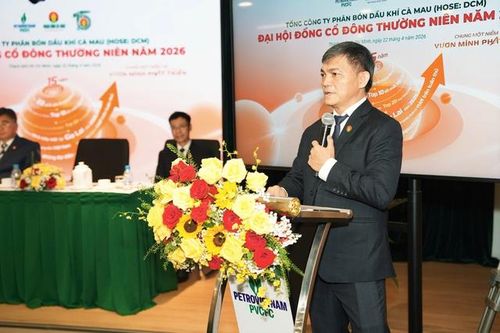 ĐHĐCĐ Đạm Cà Mau: Quý I/2026 lãi hơn 870 tỷ đồng, kiện toàn bộ máy lãnh đạo