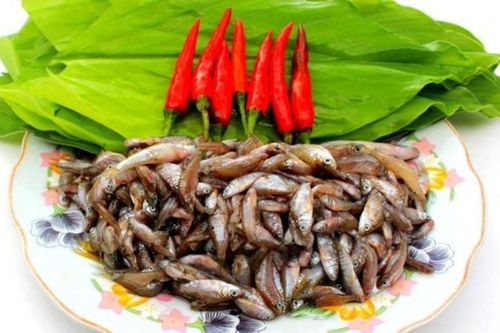 Loại cá 'nhà nghèo' xưa ra đồng bắt về ăn, nay thành đặc sản ngon và hiếm giá 400.000 đồng/kg vẫn hút khách