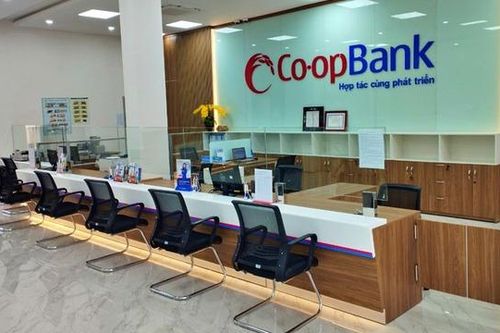 Thanh tra Ngân hàng Nhà nước chỉ ra nhiều tồn tại trong quản lý nhà đất tại Co-opBank