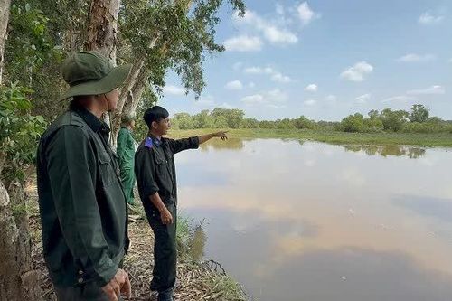 Lá chắn kép giữ 'báu vật sinh thái' đất Sen Hồng