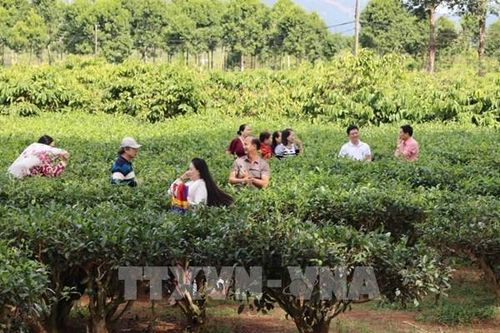 Giữ 'vùng lõi xanh' để phát triển du lịch