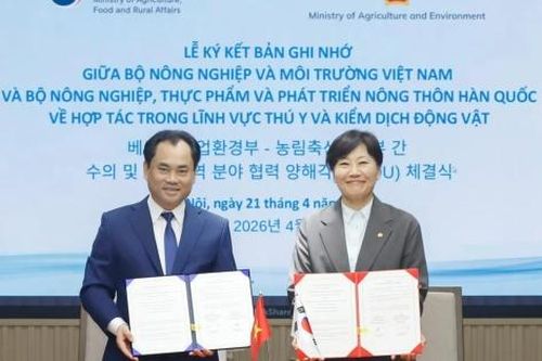 Việt Nam - Hàn Quốc thống nhất mở cửa thị trường với sản phẩm thịt gà chế biến