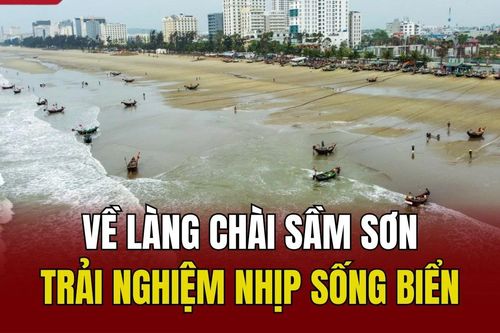 Về làng chài Sầm Sơn, trải nghiệm nhịp sống biển