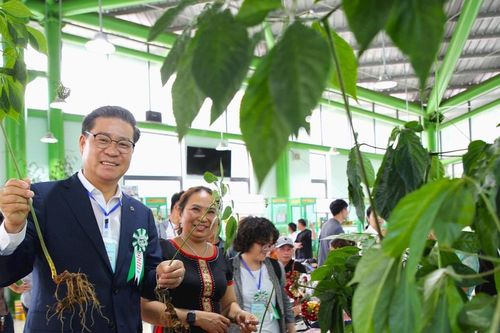 Triển khai chương trình phát triển sản phẩm sâm Ngọc Linh và dược liệu