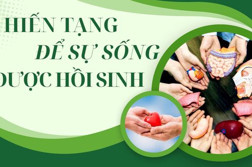 Hồi sinh sự sống từ tạng hiến