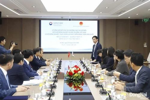 Cơ hội xuất khẩu thịt gà chế biến vào Hàn Quốc