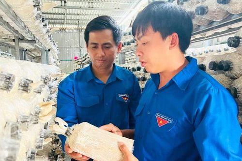 'Tiếp sức' cho thanh niên khởi nghiệp