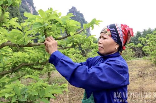 Điểm sáng giảm nghèo
